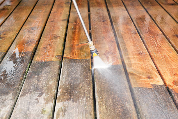 Best Residential Exterior Washing  in Shingle Springs, CA